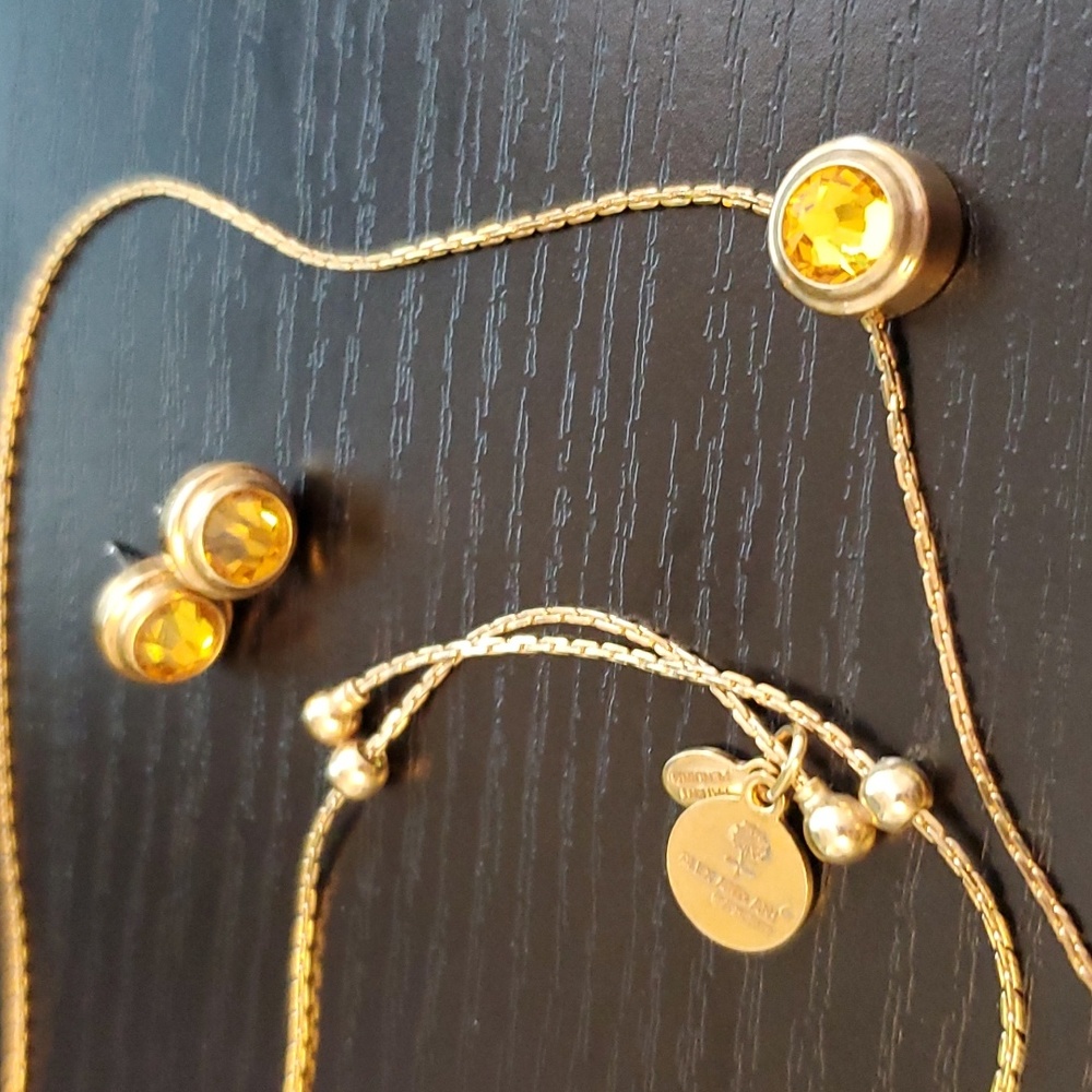 Alex + Ani necklace and matching stud earrings.
